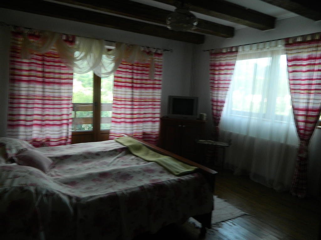 Pensiunea Romantic Sadu Room photo