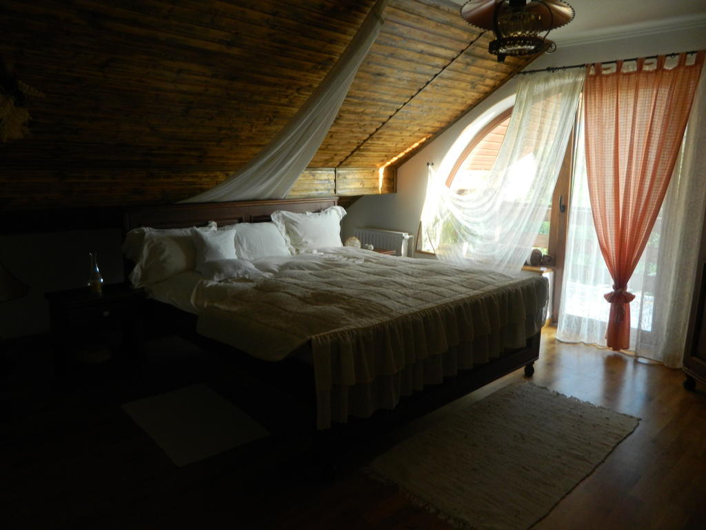 Pensiunea Romantic Sadu Exterior photo