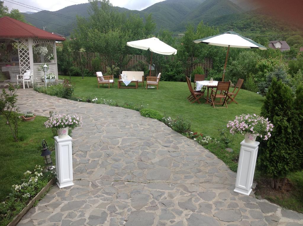Pensiunea Romantic Sadu Exterior photo