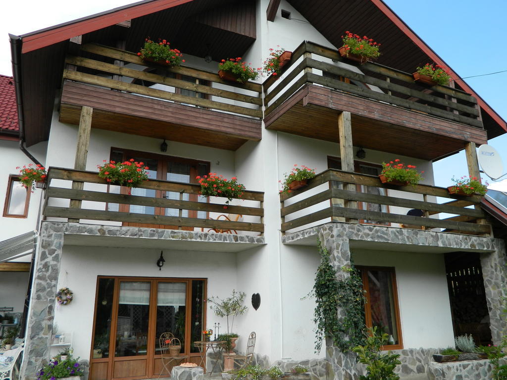 Pensiunea Romantic Sadu Exterior photo